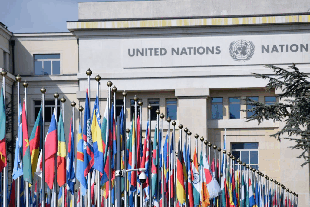 Rows of UN member country flags outside the United Nations building symbolize global cooperation in a fragmented world.